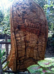 Mayan Enema History